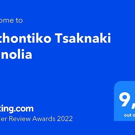 Archontiko Tsaknaki Manolia Hotel Áno Lekhónia Bagian luar foto