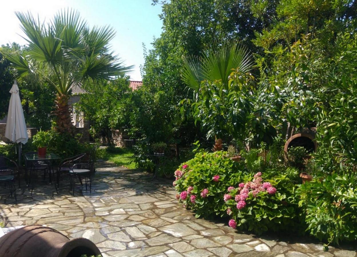 Archontiko Tsaknaki Manolia Hotel Áno Lekhónia Bagian luar foto