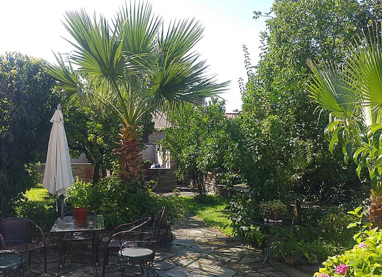 Archontiko Tsaknaki Manolia Hotel Áno Lekhónia Bagian luar foto